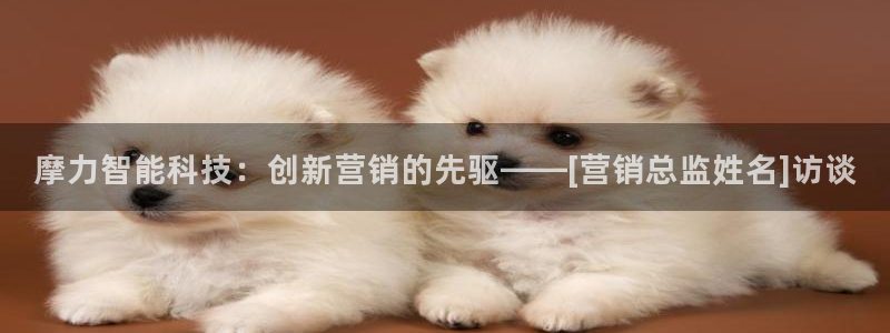 金年会官方新入口