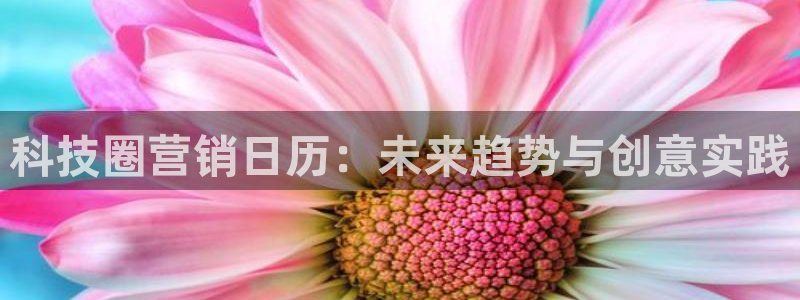 金年会官方登录入口手机版app