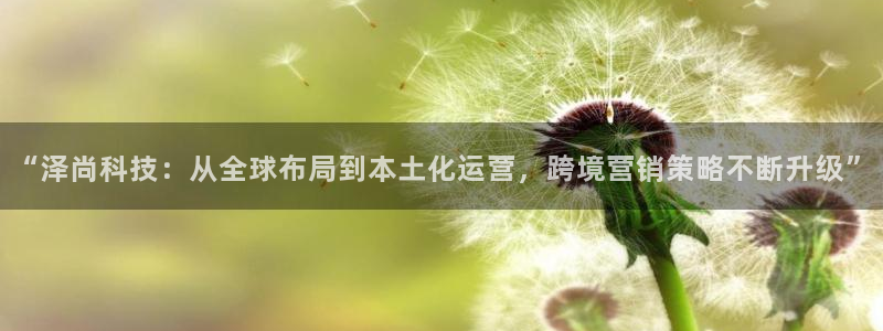 金年会电子游戏怎么玩