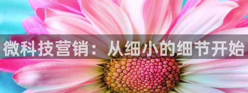 金年会电子官网