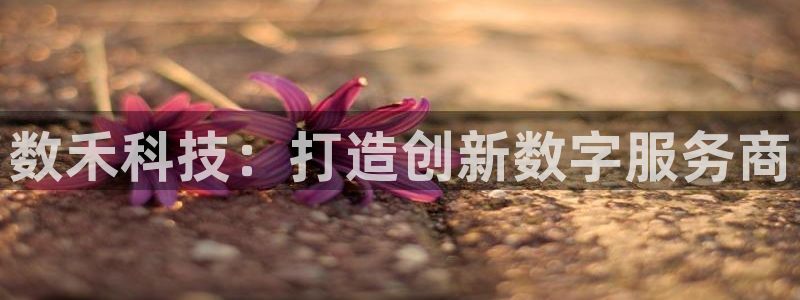 金年会官方入口网站