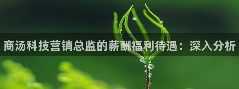金年会官方在线入口网站下载
