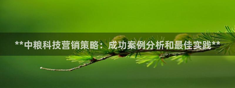 金年会网登录平台入口
