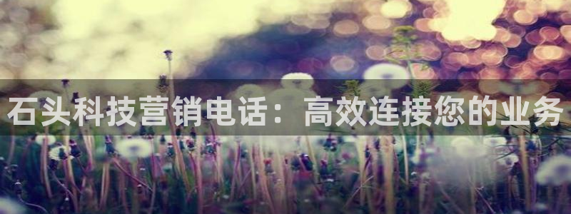 金年会电子游泳app