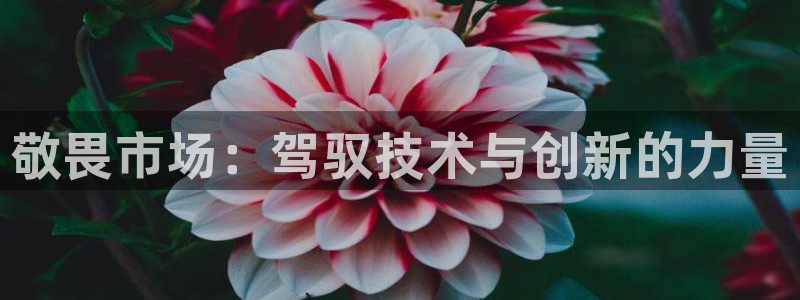 金年会体育app下载官网安卓手机