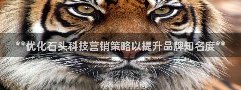 金年会会不会提不了款