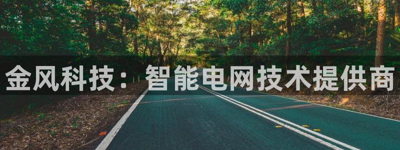金年会体育手机app下载官网