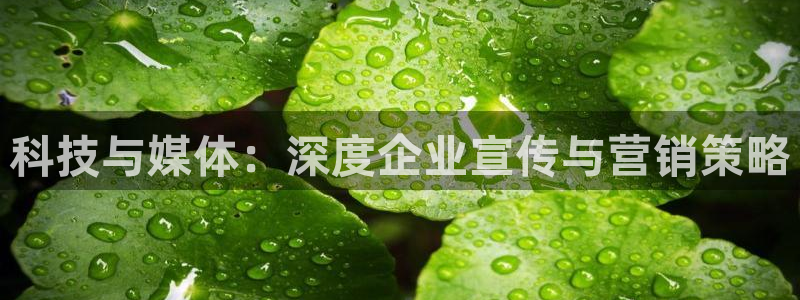 金年会 金字招牌诚信至上Vip