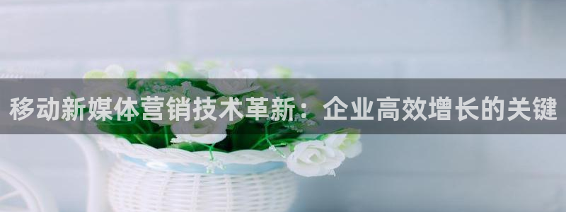 金年会电子游泳app