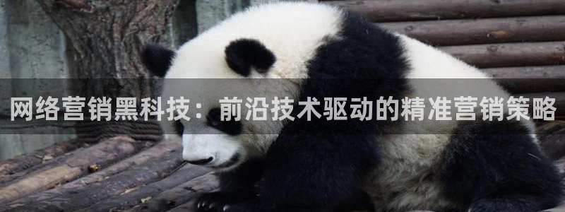 金年会赌博