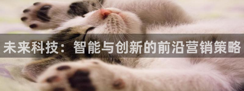 金年会官方入口首页