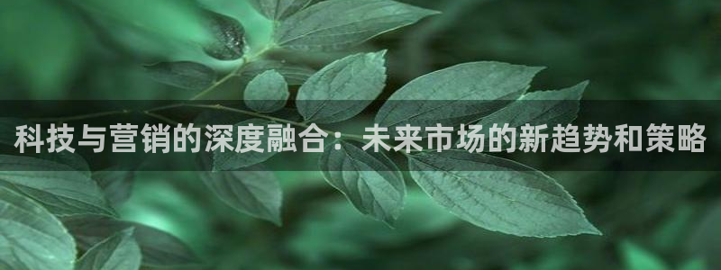 金年会官方体育频道直播