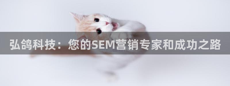 金年会官方入口2023
