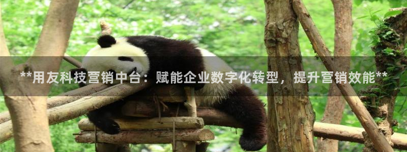 金年会网赌靠普吗