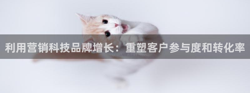 jinnianhui金年会官网