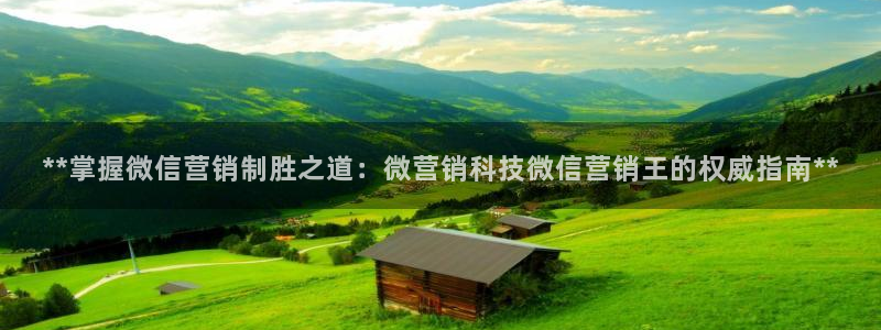 金年会黑不黑
