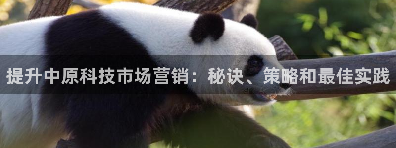 金年会体育app下载官网苹果版