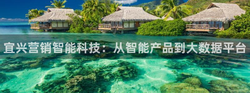 金年会体育app入口在哪
