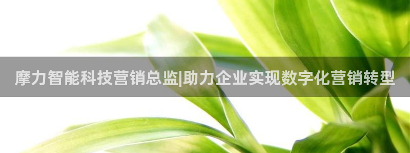 金年会下载官网app