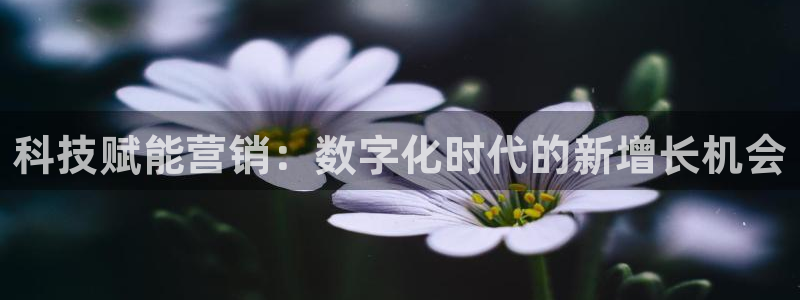 金年会在线入口