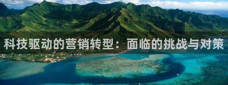 金年会体育网址是多少