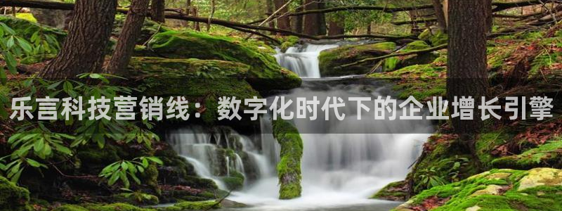 金年会体育买球app下载安卓