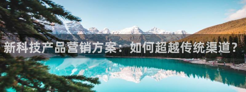 金年会官方网站入口app