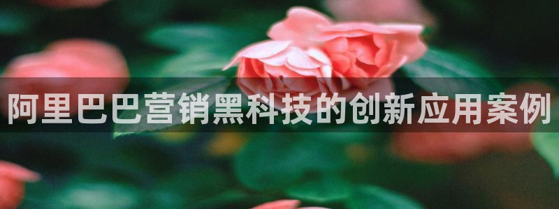 金年会平台官网