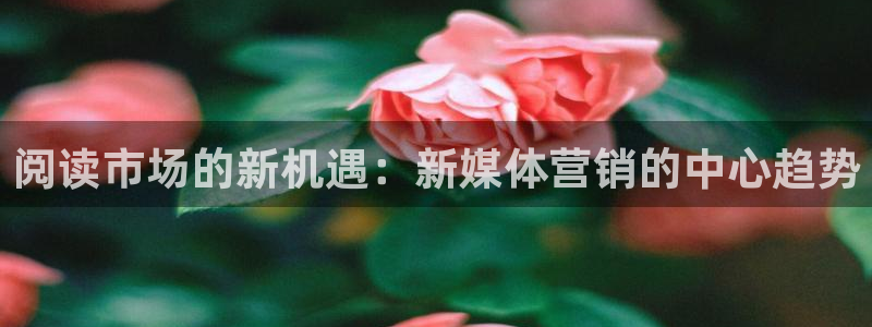 今年会金年会