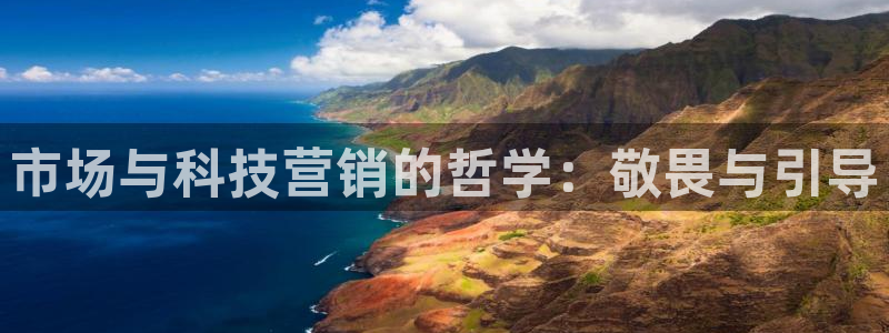 金年会体育平台新地址