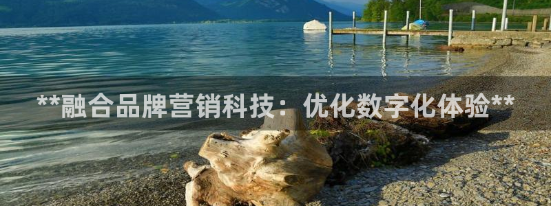金年会app是不是钓鱼软件