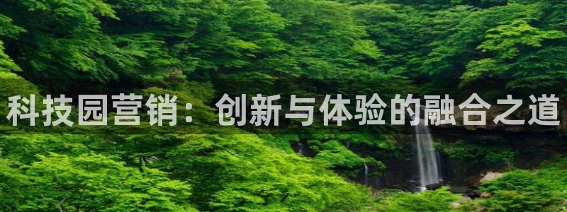 金年会体育是合法的吗