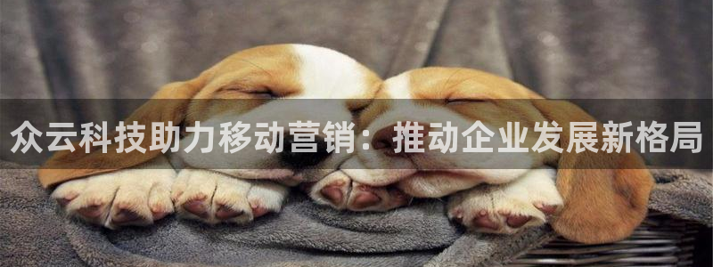 金年会平台真他妈坑人