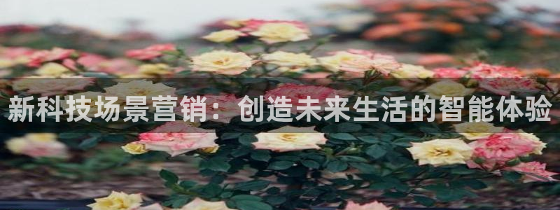金年会官方在线入口网址是多少