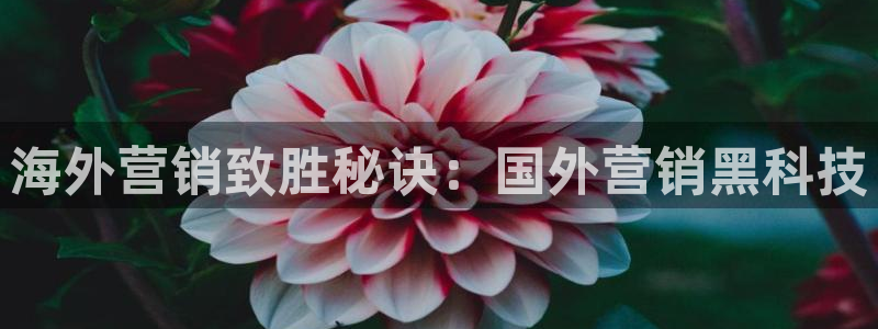 金年会VIP