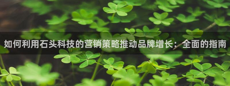 金年会官方入口网站