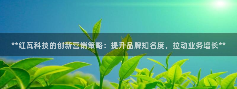金年会体育平台是真的吗