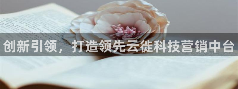 金年会网站下载