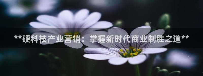 金年会体育app平台怎么样可靠吗