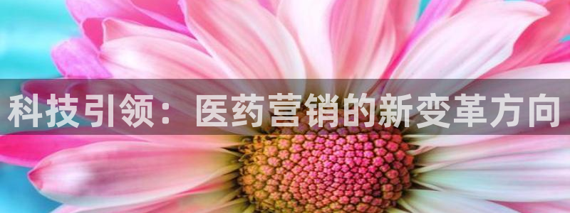 金年会平台是黑网还是白网