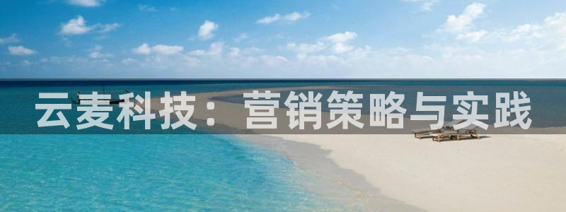 金年会网站洗黑钱
