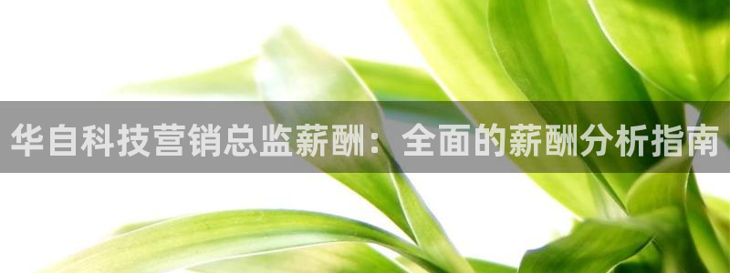 金年会下载官方app