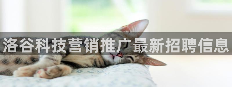 金年会官方在线