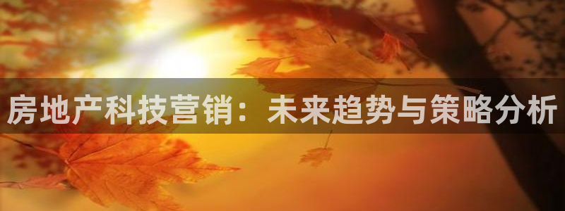 金年会网站事件后果