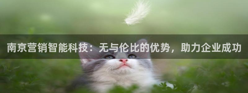 金年会体育如何