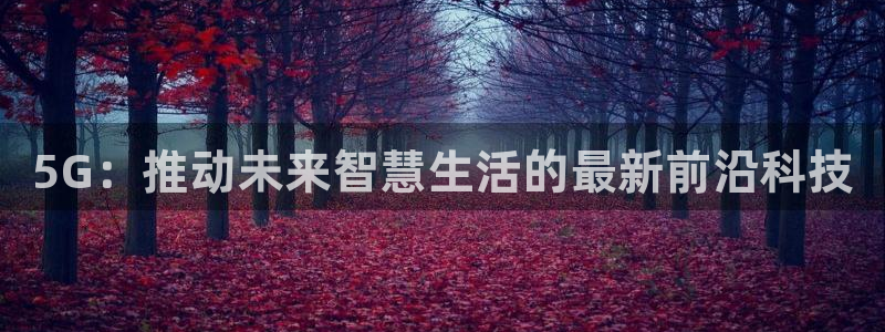 金年会网站稳不稳