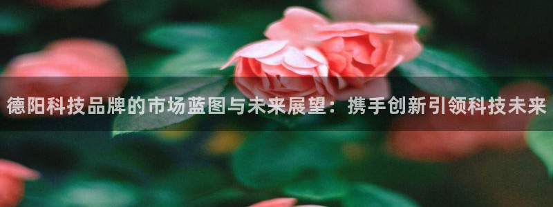 金年会黑平台不给出款