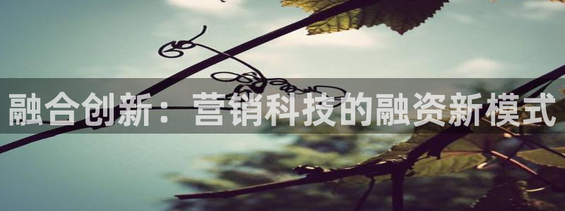 金年会网赌靠普吗