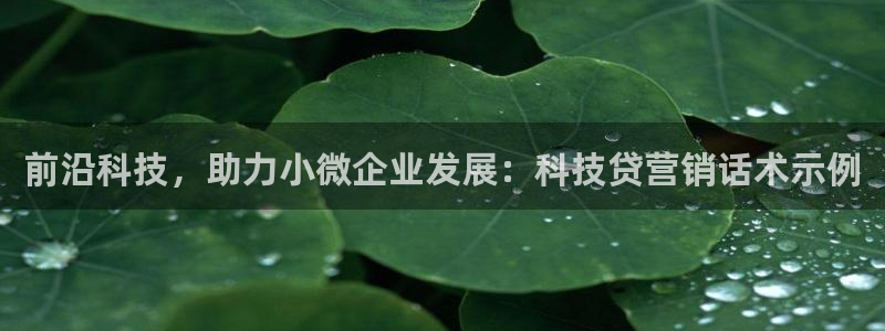 金年会官方体育