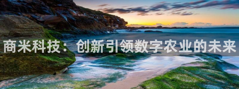 金年会官方在线入口网址是什么